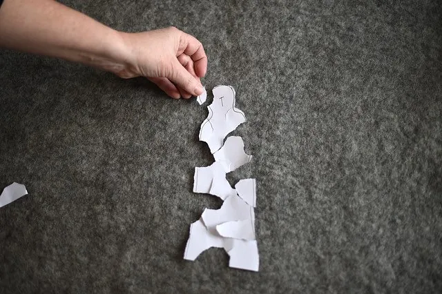 Kursteilnehmer fotografieren ein Rapsfeld